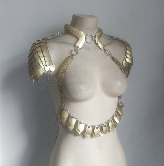 Valkyrie Harness Set